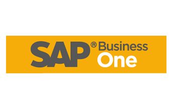 SAP Business One Troubleshooting Guide